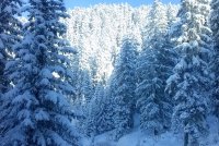 Meribel